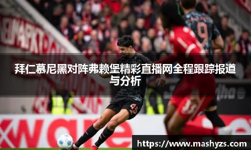 BB贝博