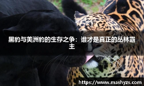 黑豹与美洲豹的生存之争：谁才是真正的丛林霸主